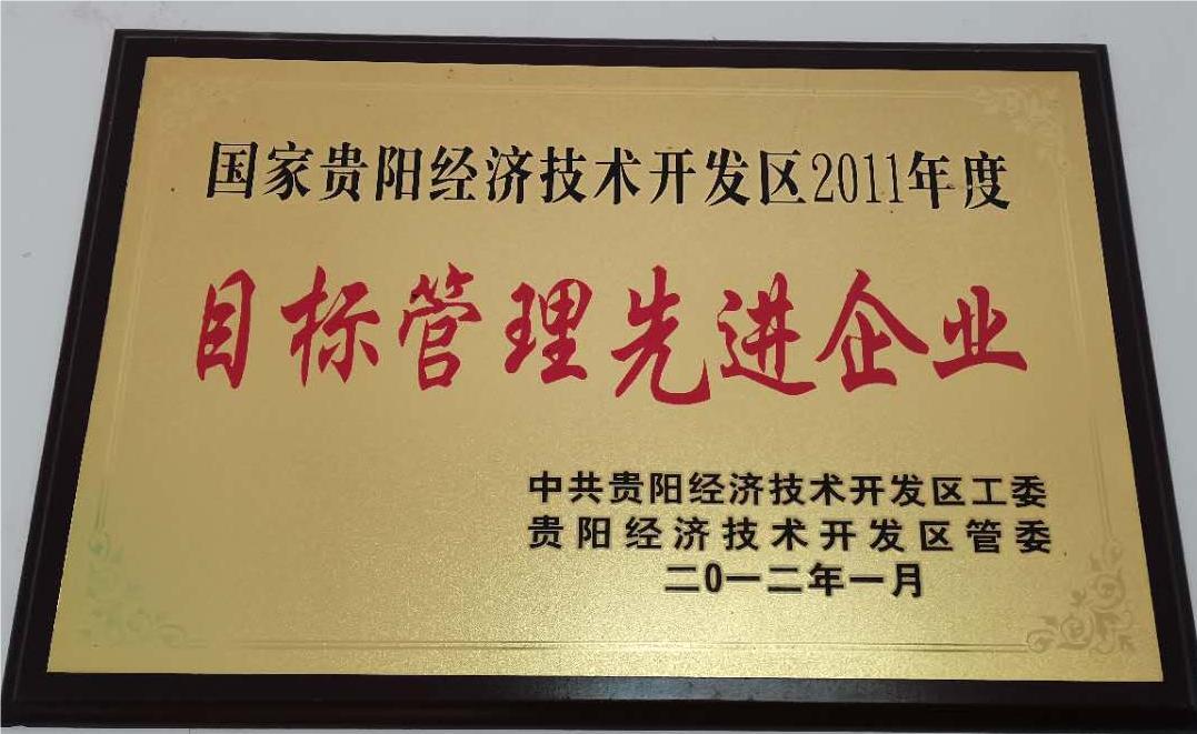 目标管理先进企业1